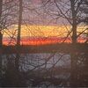 royd_11